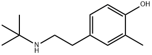 4-叔丁基氨基-2-甲基苯酚分子式结构图