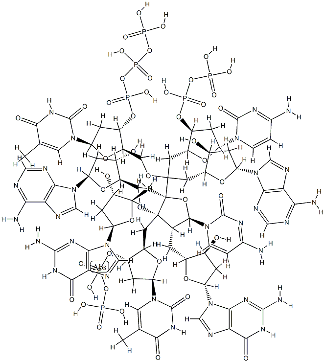 d(GATGCATC)2分子式结构图