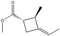 Cyclobutanecarboxylic acid, 3-ethylidene-2-methyl-, methyl ester, [1S-分子式结构图