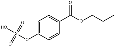 Propyl Paraben Sulfate分子式结构图