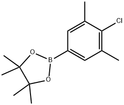 4-CHLORO-3,5-DIMETHYLPHENYLBORONIC ACID, PINACOL ESTER分子式结构图