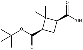 (1S,3R)-3-(叔-丁氧羰基)-2,2-二甲基环丁羧酸分子式结构图