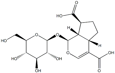 (1S)-1α-(β-D-Glucopyranosyloxy)-1,4aα,5,6,7,7aα-hexahydrocyclopenta[c]pyran-4,7α-dicarboxylic acid分子式结构图