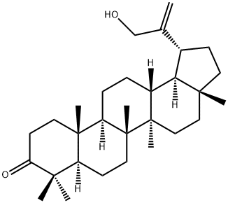 30-羟基羽扇-20(29)-烯-3-酮分子式结构图