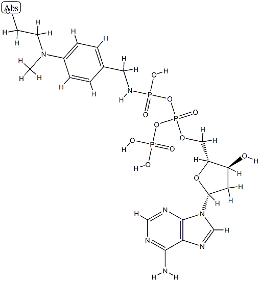 4-(N-2-chloroethyl-N-methylamino)benzyl-gamma-amide dATP分子式结构图